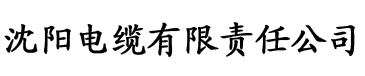 亚洲AV无码日韩精品影片电缆厂logo